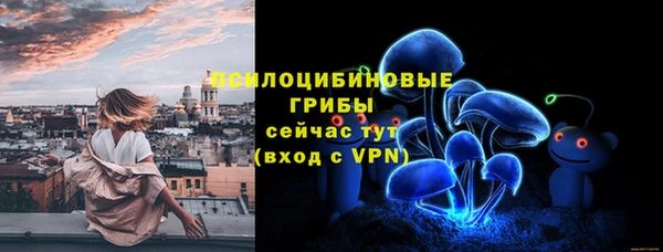 ГАЛЛЮЦИНОГЕННЫЕ ГРИБЫ Арсеньев
