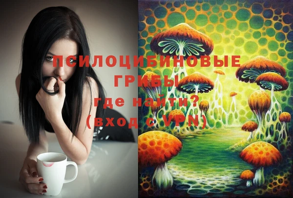 ГАЛЛЮЦИНОГЕННЫЕ ГРИБЫ Арсеньев