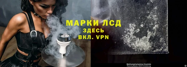 ГАЛЛЮЦИНОГЕННЫЕ ГРИБЫ Арсеньев