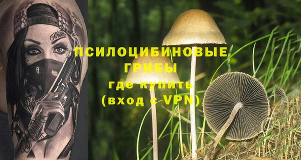 ГАЛЛЮЦИНОГЕННЫЕ ГРИБЫ Арсеньев