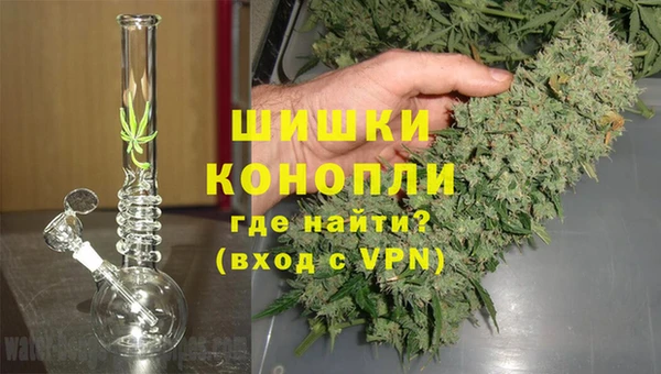 ГАЛЛЮЦИНОГЕННЫЕ ГРИБЫ Арсеньев